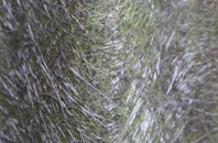 Radbourne fibreglass roof work